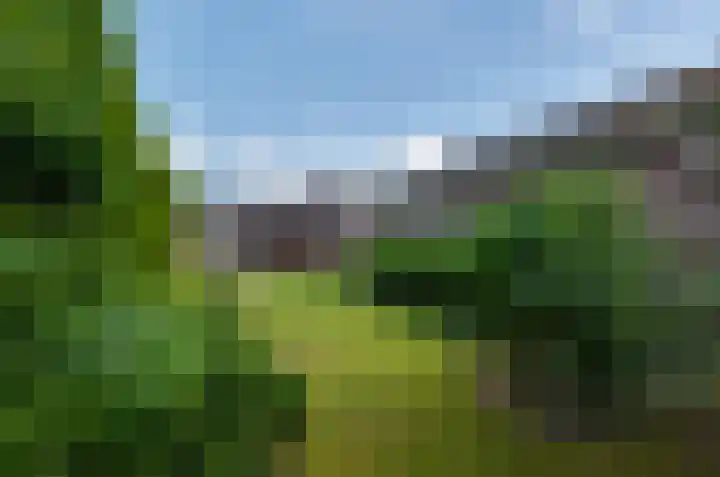 De Hanekampen 3 Beilen thumbnail 42