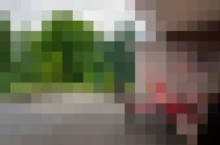 De Hanekampen 3 Beilen thumbnail 46