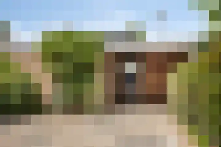 De Hangaarts 103 's-Heerenberg thumbnail 37