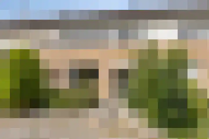 De Hangaarts 103 's-Heerenberg thumbnail 6