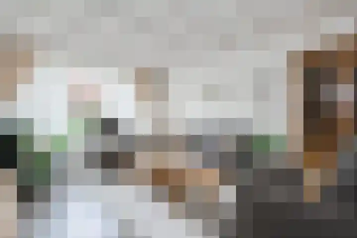 De Hangaarts 69 's-Heerenberg thumbnail 10