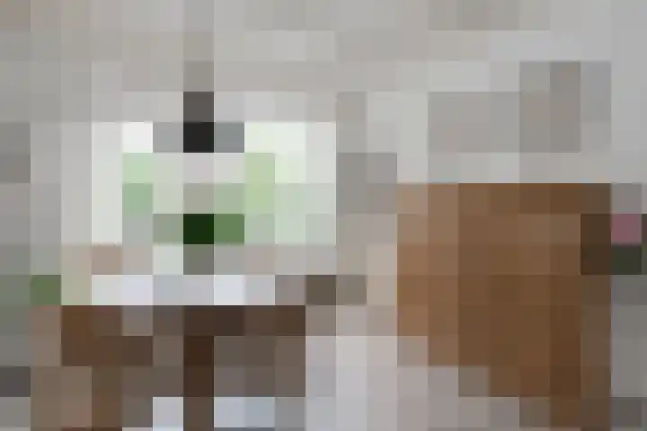 De Hangaarts 69 's-Heerenberg thumbnail 13