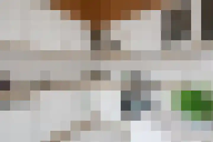 De Hangaarts 69 's-Heerenberg thumbnail 14