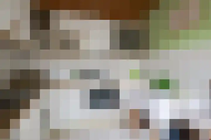 De Hangaarts 69 's-Heerenberg thumbnail 16