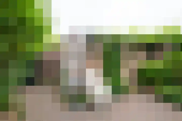De Hangaarts 69 's-Heerenberg thumbnail 37