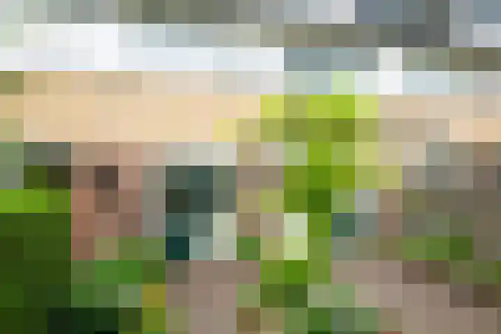 De Hangaarts 69 's-Heerenberg thumbnail 39