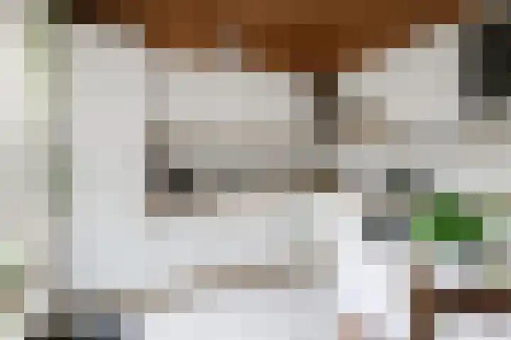 De Hangaarts 69 's-Heerenberg thumbnail 4