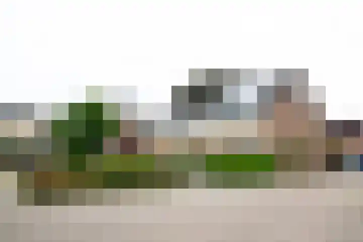 De Hangaarts 69 's-Heerenberg thumbnail 44