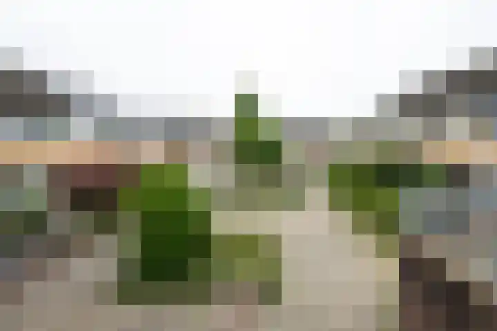 De Hangaarts 69 's-Heerenberg thumbnail 45