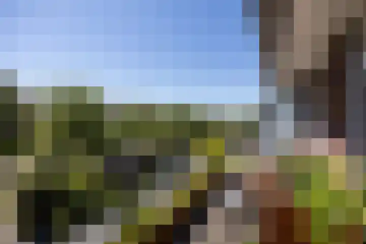 De Hank 136 Leusden thumbnail 19