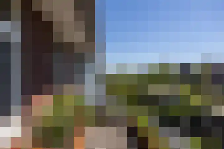 De Hank 136 Leusden thumbnail 20