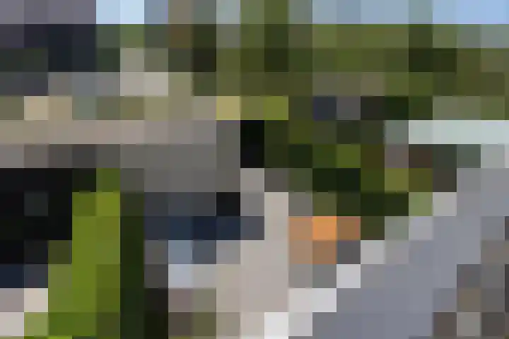 De Hank 136 Leusden thumbnail 21