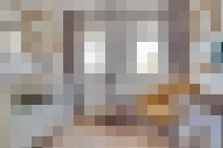 De Hank 136 Leusden thumbnail 22