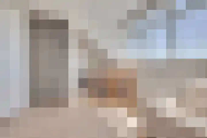 De Hank 136 Leusden thumbnail 26
