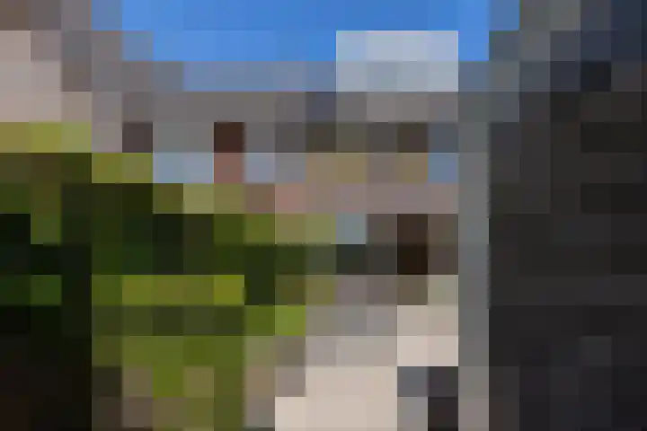 De Hank 136 Leusden thumbnail 29