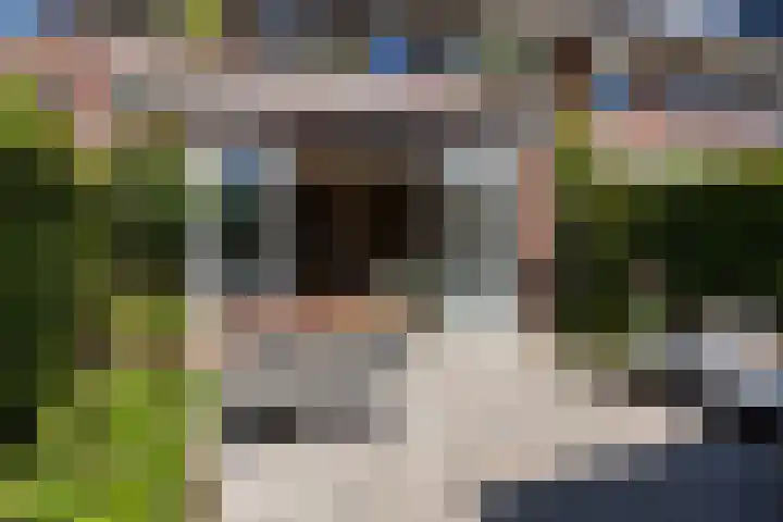 De Hank 136 Leusden thumbnail 33