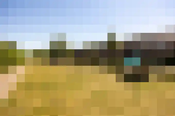 De Hank 136 Leusden thumbnail 34