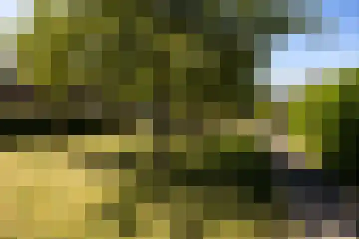 De Hank 136 Leusden thumbnail 35