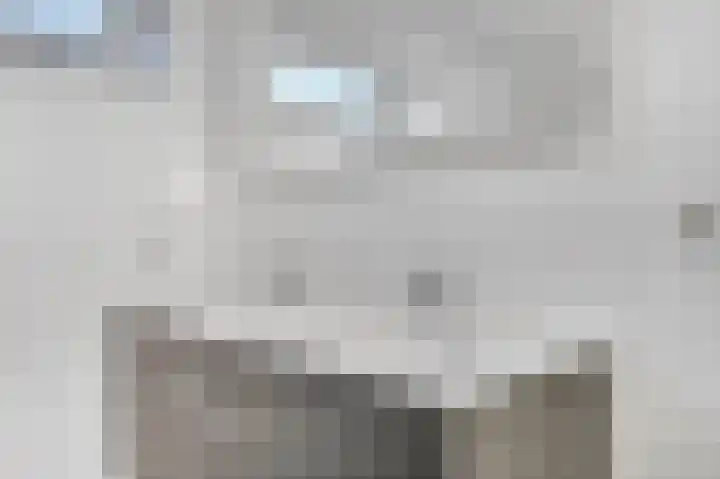 de Hank 21 Amerongen thumbnail 21