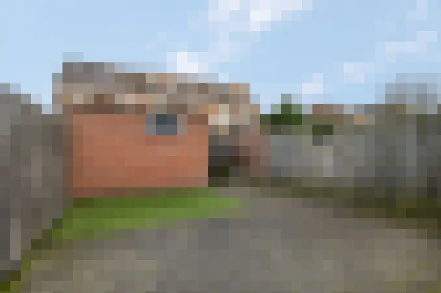 de Hank 21 Amerongen thumbnail 29