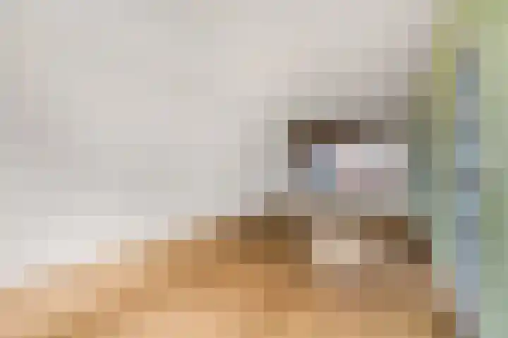 de Hank 21 Amerongen thumbnail 4