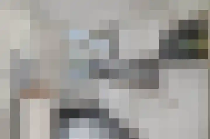 de Hank 21 Amerongen thumbnail 8