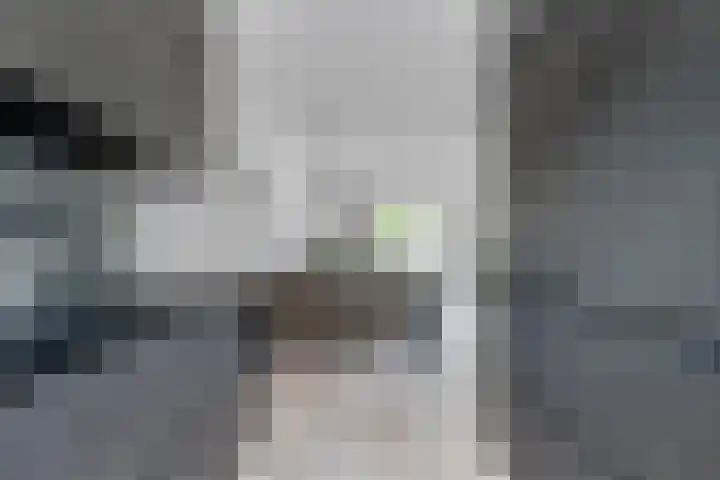 De Hank 31 Leusden thumbnail 10