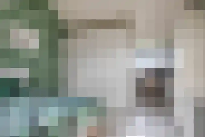 De Hank 31 Leusden thumbnail 29