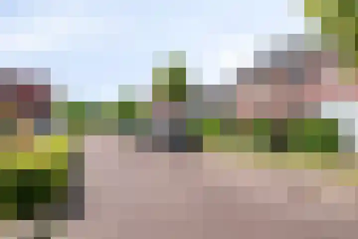 De Hank 31 Leusden thumbnail 30