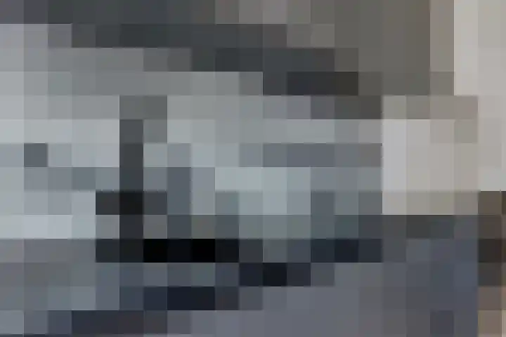 De Hank 31 Leusden thumbnail 9