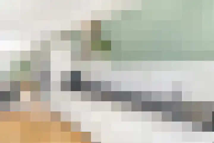 De Hank 47 Leusden thumbnail 14