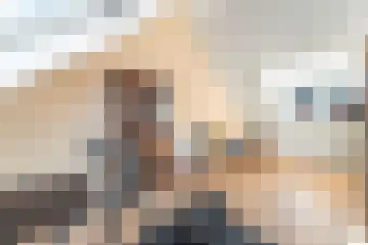 De Hank 47 Leusden thumbnail 31
