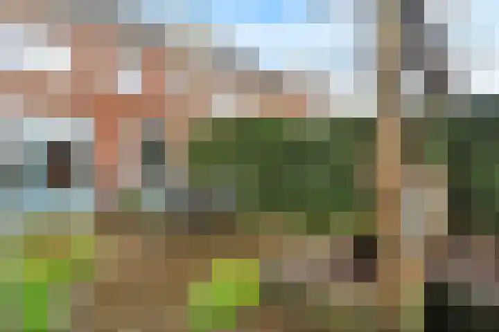 De Hank 47 Leusden thumbnail 36
