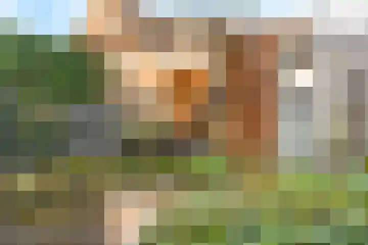 De Hank 47 Leusden thumbnail 38