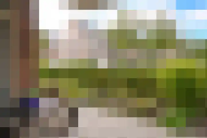 De Hank 74 Leusden thumbnail 16