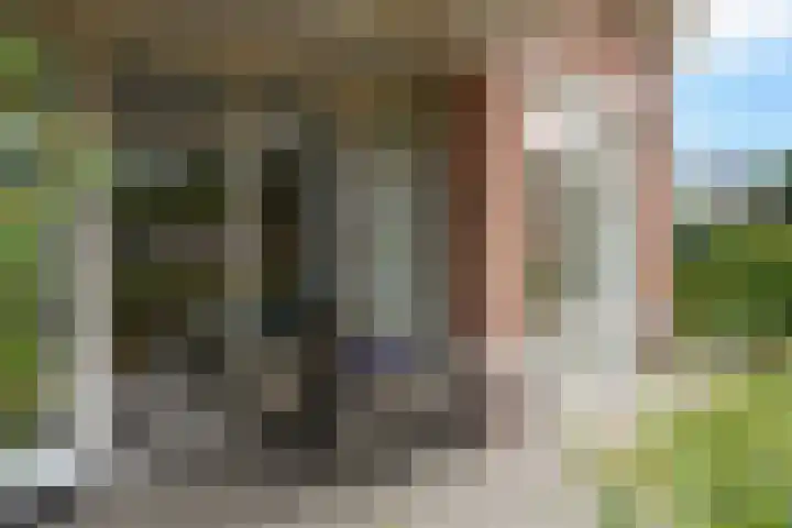 De Hank 74 Leusden thumbnail 17