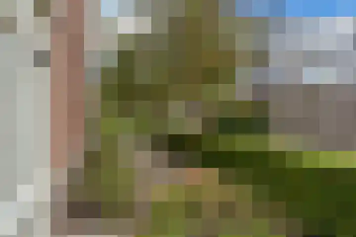 De Hank 74 Leusden thumbnail 18