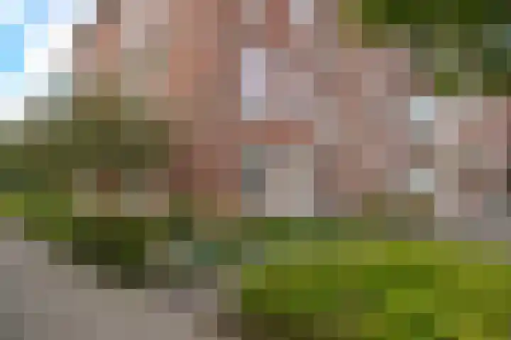 De Hank 74 Leusden thumbnail 21