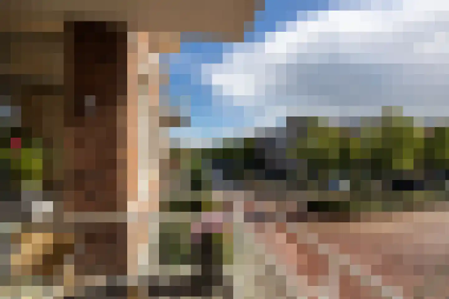 De Hank 82 Leusden thumbnail 10