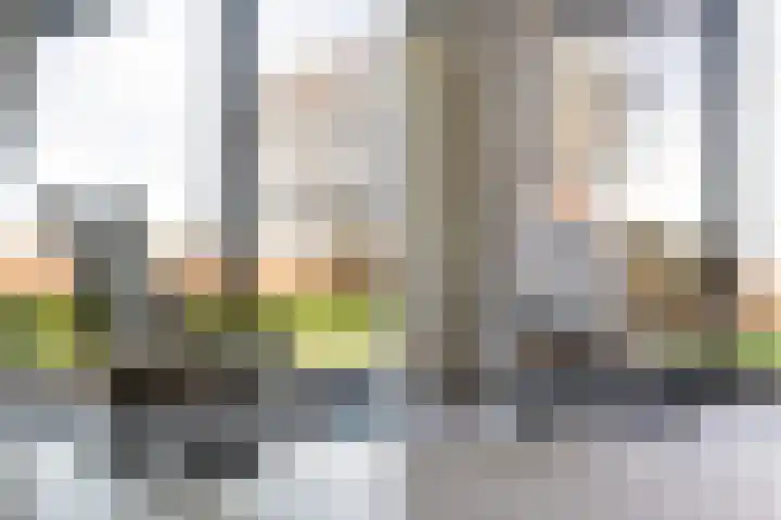 De Hannen 6 Oudega thumbnail 15