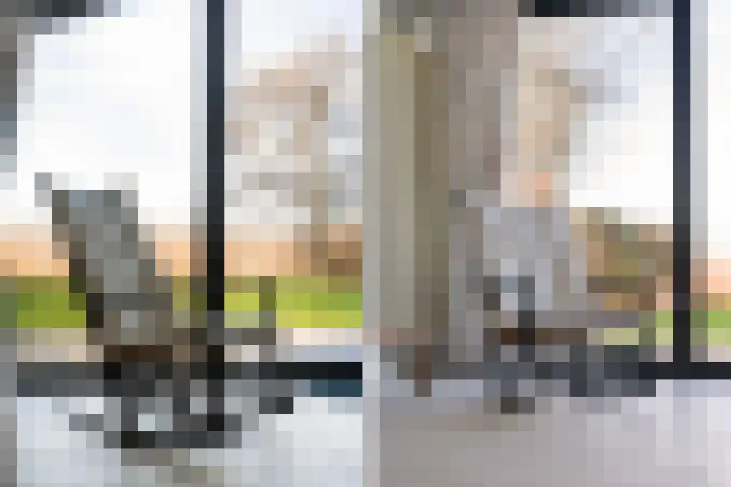 De Hannen 6 Oudega thumbnail 15