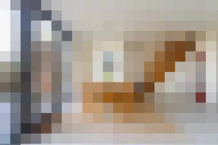 De Hannen 6 Oudega thumbnail 18