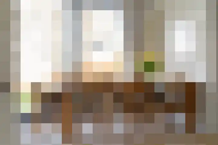 De Hannen 6 Oudega thumbnail 19