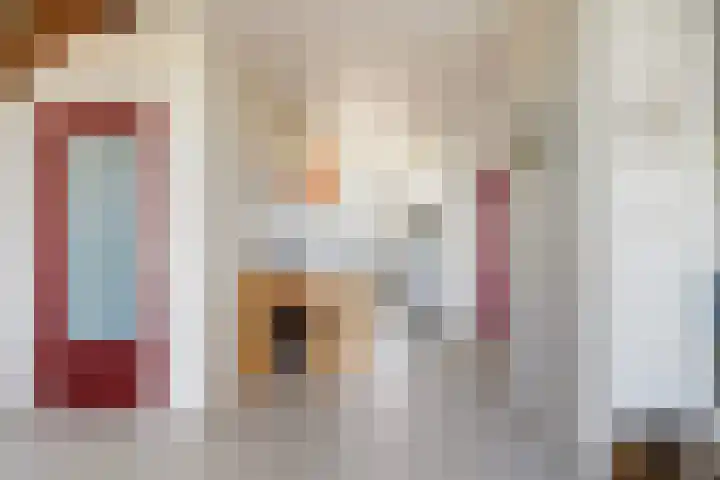 De Hannen 6 Oudega thumbnail 20