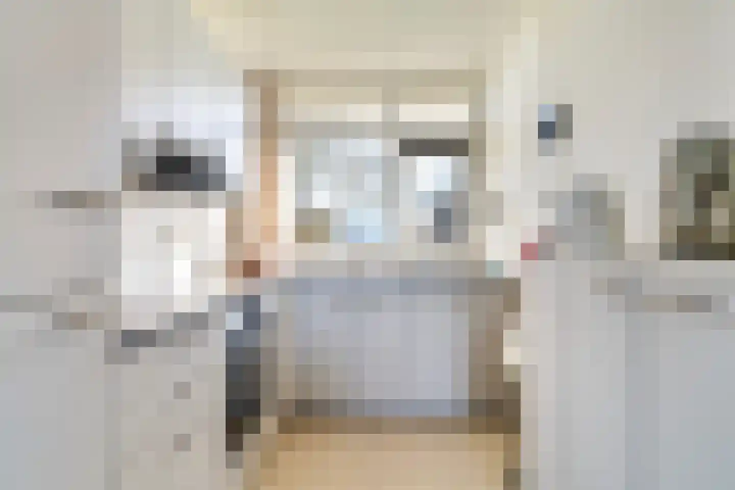 De Hannen 6 Oudega thumbnail 21