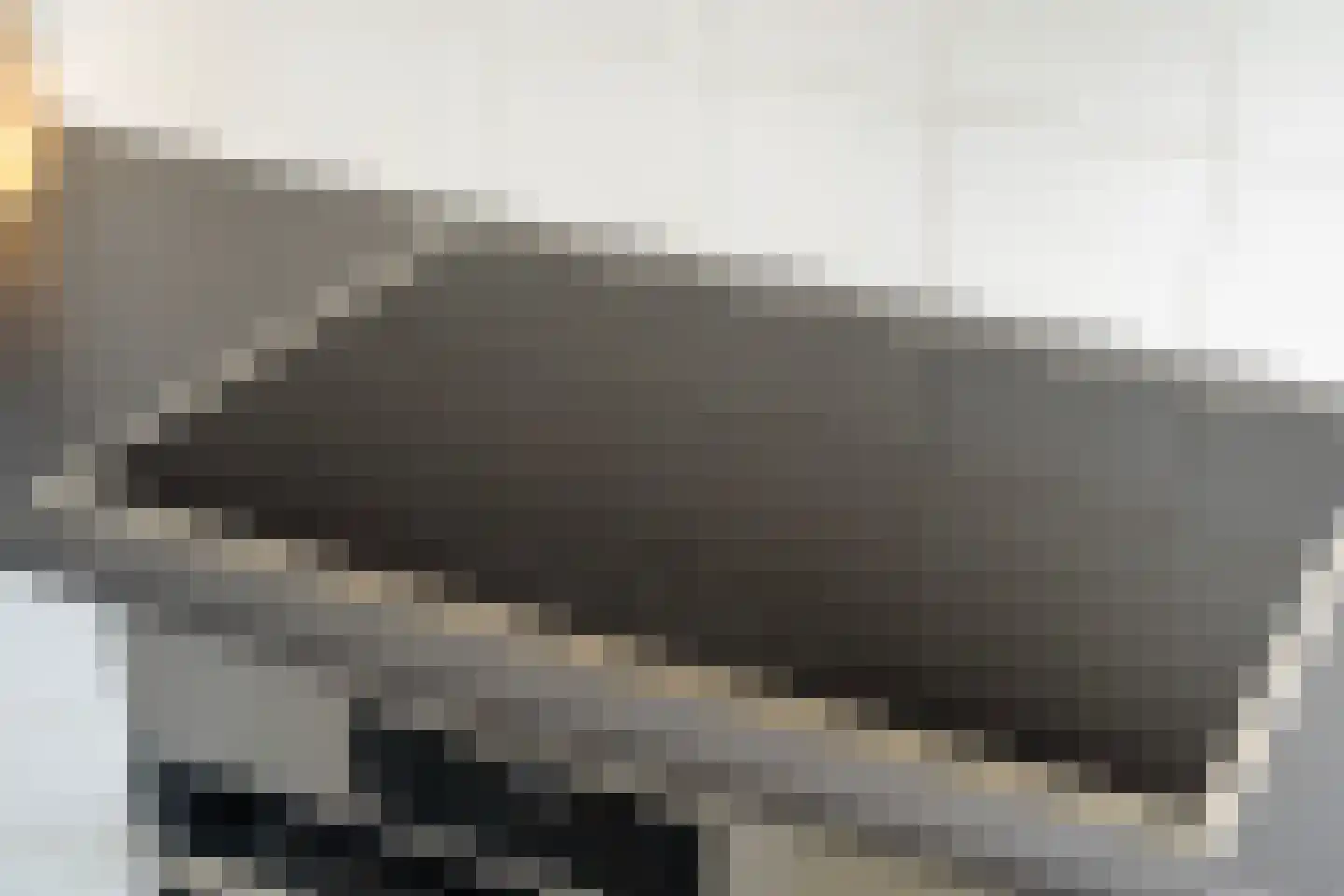 De Hannen 6 Oudega thumbnail 23