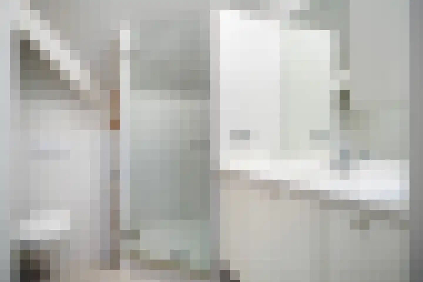 De Hannen 6 Oudega thumbnail 24