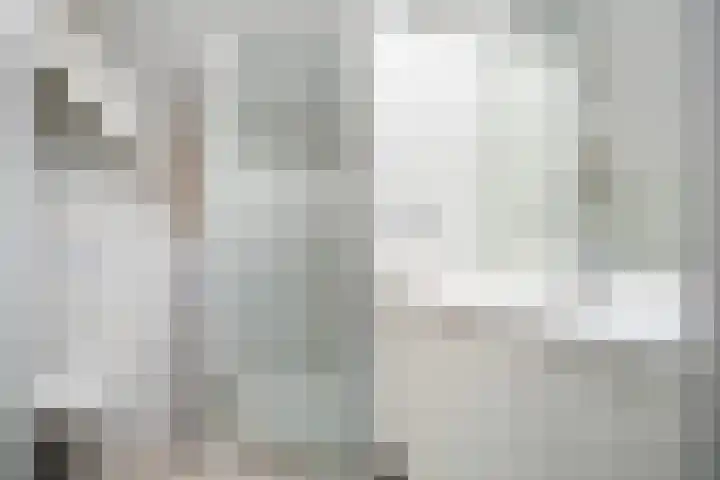 De Hannen 6 Oudega thumbnail 24