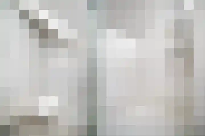 De Hannen 6 Oudega thumbnail 25