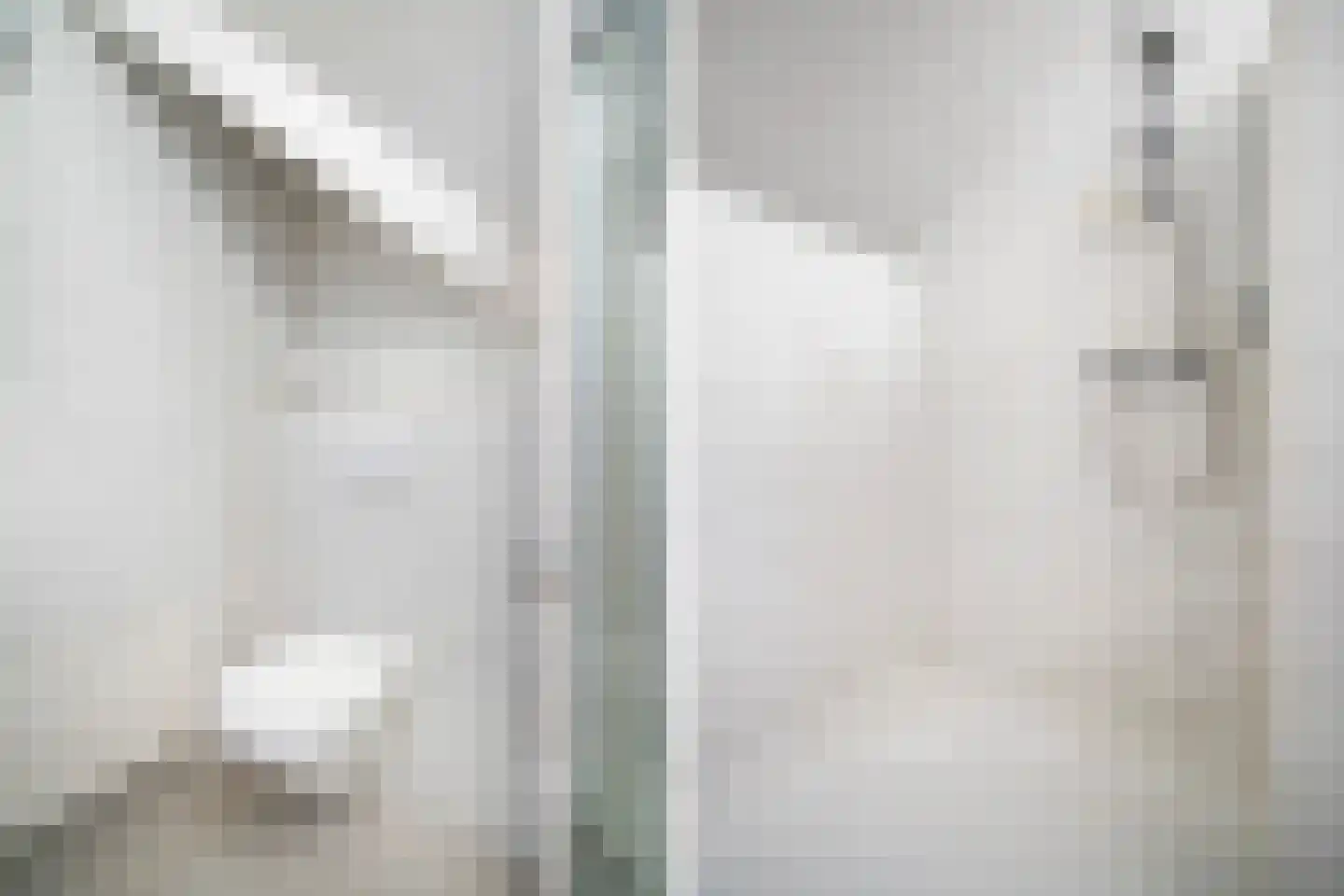 De Hannen 6 Oudega thumbnail 25